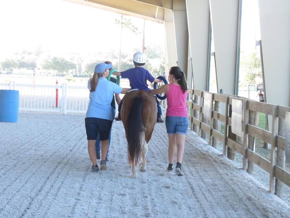  Little ones as young as two years old and adults in their 70s regularly attend the various equine programs at Vinceremos. They may participate in therapeutic riding or driving or hippotherapy.  Please come and visit the center, talk to other participants, and join in the fun!