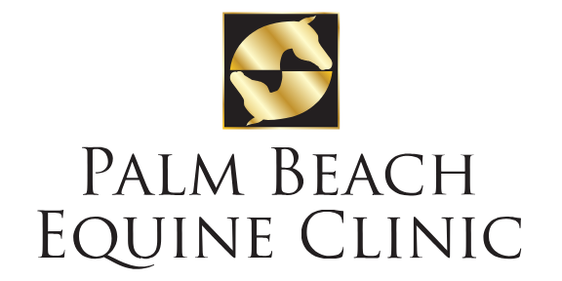 Palm Beach Equine Logo